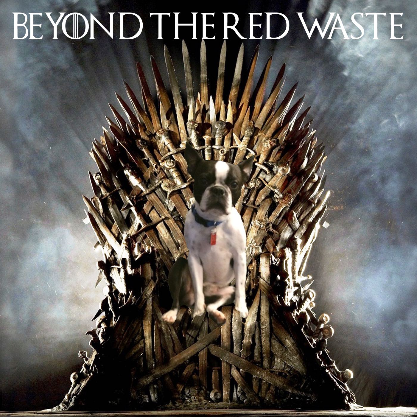 Beyond the Red  Waste