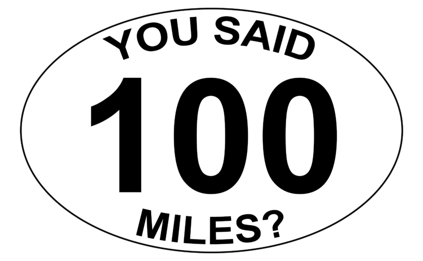 YS100M? Museum Chat